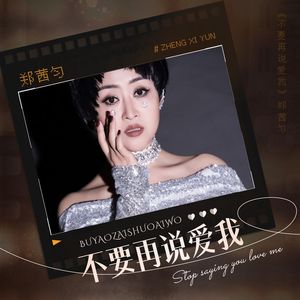 不要再说爱我