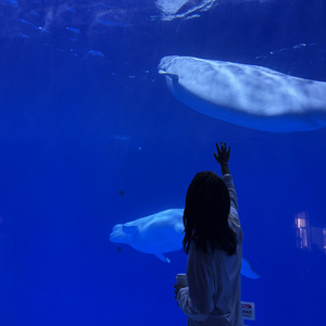 剩下的你听懂我吗.mp3