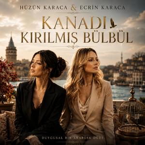 Kanadı Kırılmış Bülbül