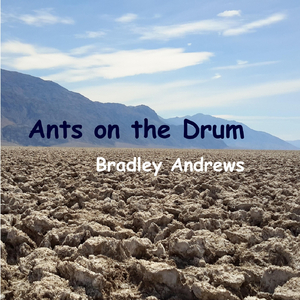 Ants on the Drum