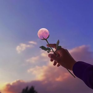 少年笔记（Prod by Siren）