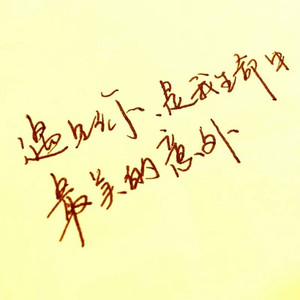 最美的意外（Cover 李尚尚）