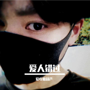 爱人错过（翻自 爱吃糖葫芦）