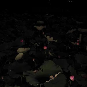 玛格丽特（Cover：南偿）