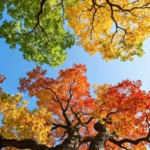 怎么开心怎么活