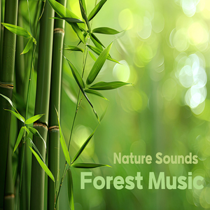 온전한 집중 (숲속소리)