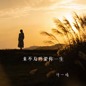 来不及疼爱你一生（伴奏）