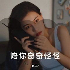 月之女神 (DJ版)