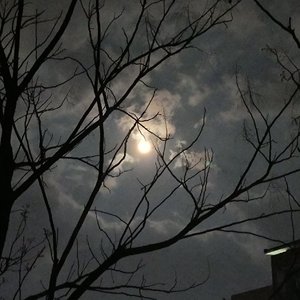 僕と君のララバイ（我与你的摇篮曲）