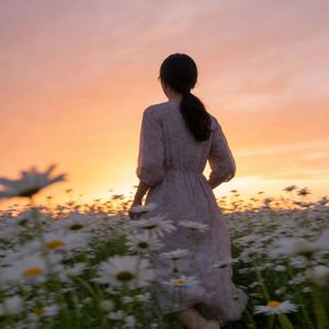 此局无解 (降调版)