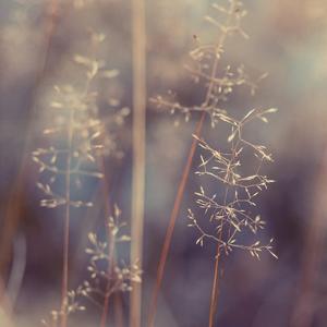 童话里的灰姑娘