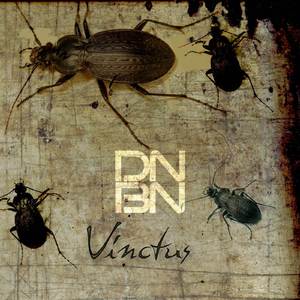 Vinctus