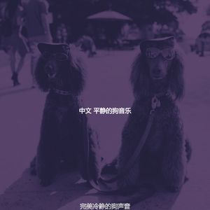 安静的小狗声音