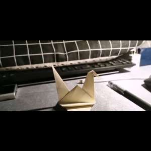 焦光宇看不清的世界