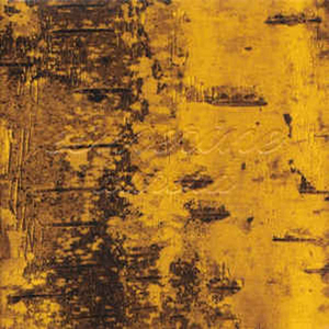 Why She Swallows Bullets and Stones