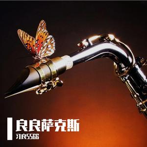 昨夜星辰（萨克斯良良版）