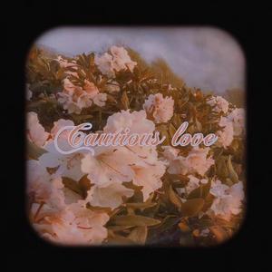 Cautious Love(小心的爱）