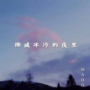 挪威冰冷的夜里