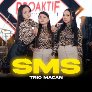 SMS