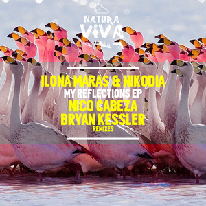 My Reflections (Bryan Kessler Remix)