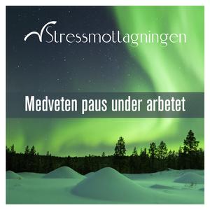 Andning och närvaro - Paus i arbetet, del 2