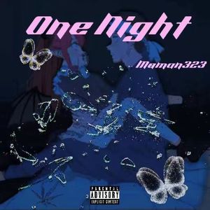 One_night_