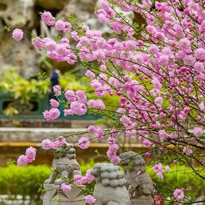 爱上你是一个错 （翻自 小金娃）