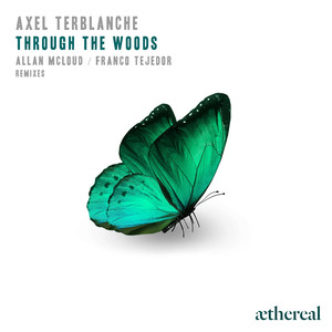 Through the Woods (Franco Tejedor Remix)