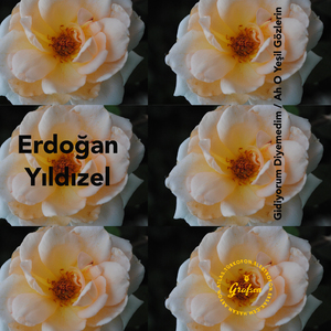 Gidiyorum Diyemedim