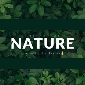 The Art Of Nature