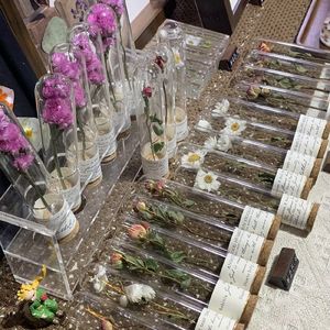 拜天地 大作战（Prod.36Momus&SunZh1n3）