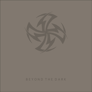 Beyond the Dark