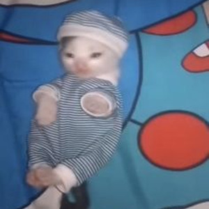 Ambience/Limousine (slowed)