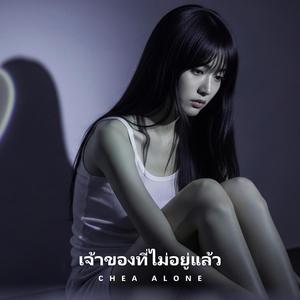 เจ้าของที่ไม่อยู่แล้ว