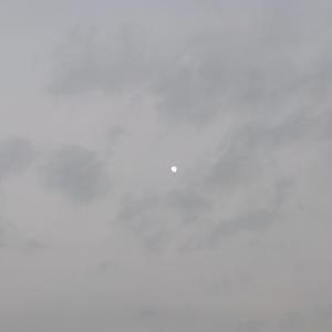 让阳光驱散阴霾