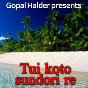 Tui Kato Sundorire