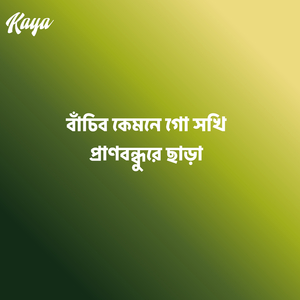 মনমাঝি ভাই বাও রে নৌকা যাইও না রে পথ ভুলে