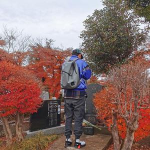 rest in peace (rip nujabes san)