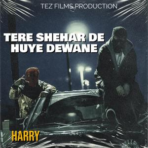 TERE SHAHER DE HUYE DEEWANE