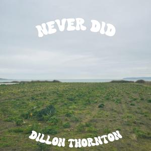 Never Did