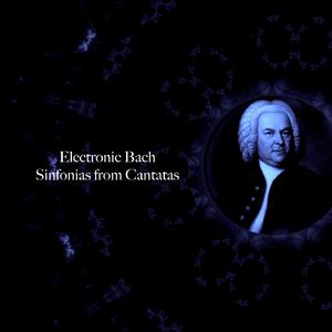 Sinfonia from Cantata BWV 174, Ich liebe den Höchsten von ganzem Gemüte