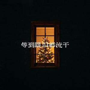 等到眼泪都流干