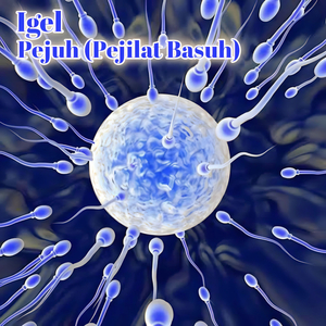 Pejuh Pejilat Basuh (Original)