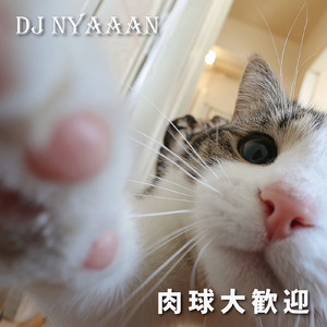 肉球大歓迎
