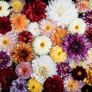 想念是无法降解的塑料