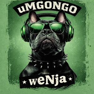 uMgongo weNja
