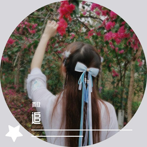 追（电视剧《追鱼传奇》主题曲）