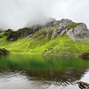 圣水（feat.Y.CA.L)