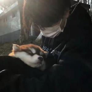 个人简介PT1（翻自 安全着陆）