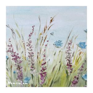 Momentum